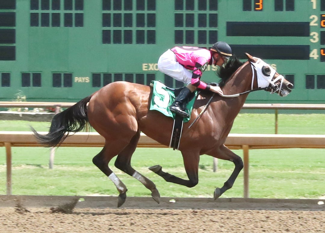 Shape Note wins at ELP Aug 2 20255