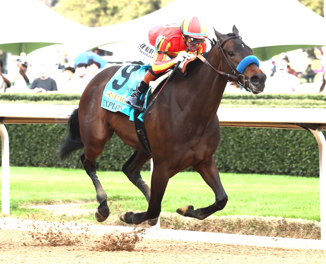 Explora wins Honeybee at OP March 1 2026