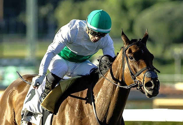 Mrs. Astor wins Astra Stakes at SA Jan 19 2026