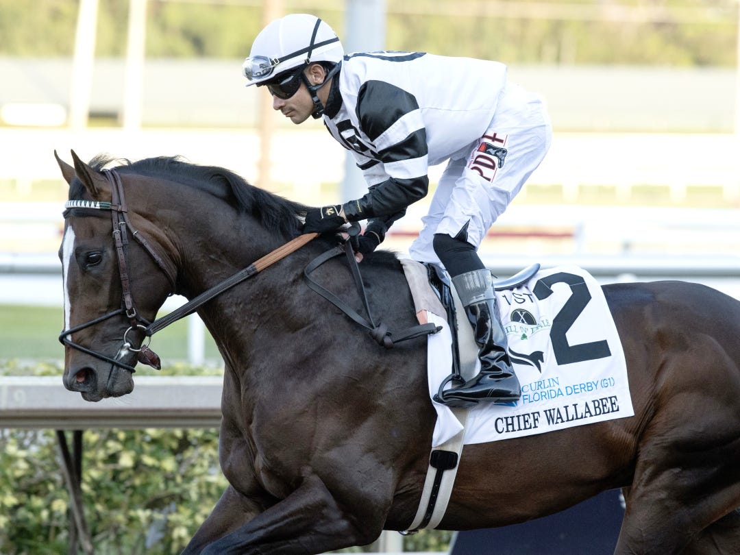 Chief Wallabee at GP on March 28 2026