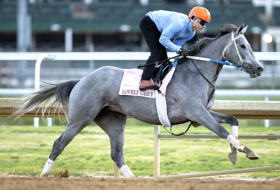 Lovely Grey works at CD April 22 2026