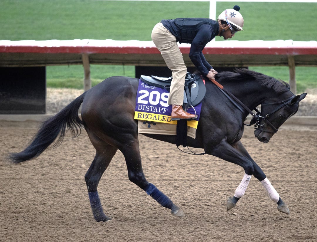 Regaled at DMR Oct 25 2025