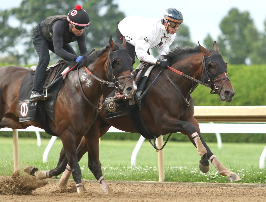 Golden Tempo (inside) works with So Sandy at KEE May 23 2026