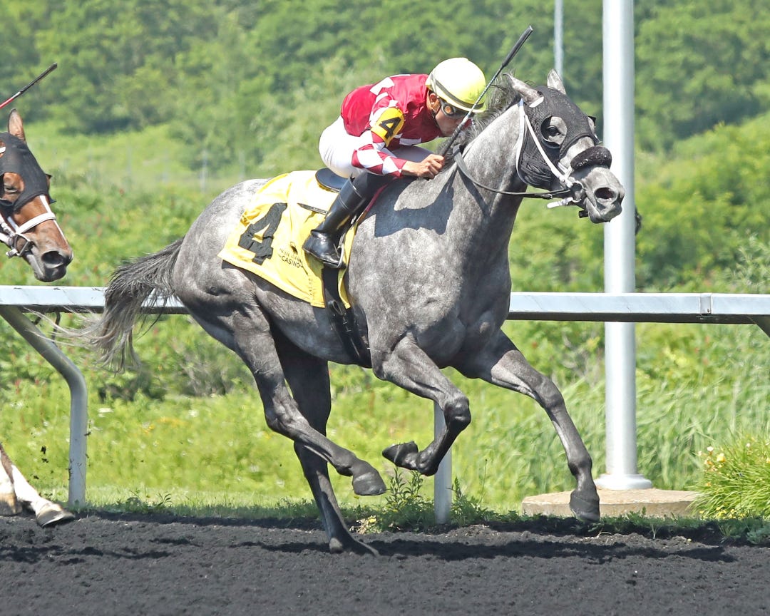 Horsepower wins Karl Boyes at PID July 4 2025