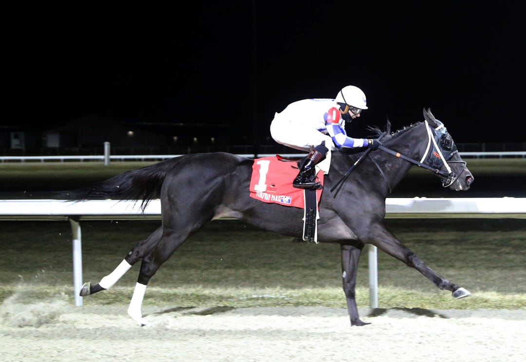 Takemetothebeach wins at TP Feb 14 2025