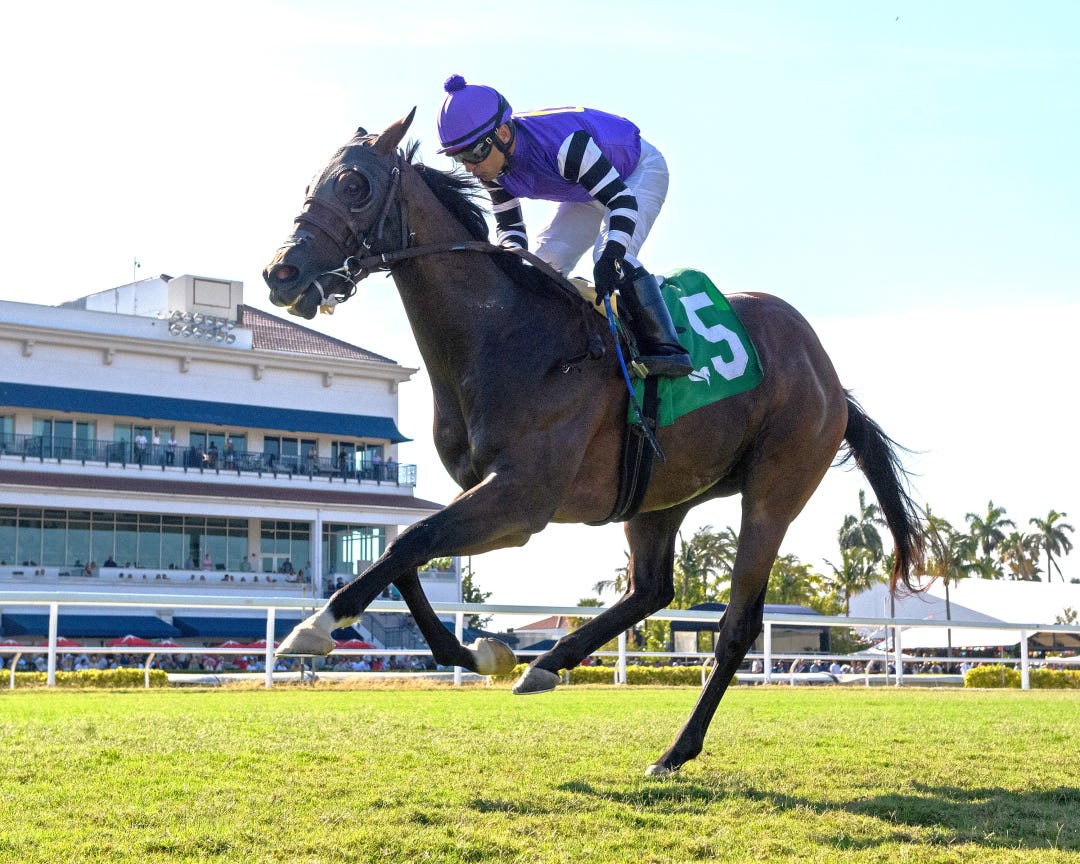 Bolero Bay wins English Channel at GP May 2 2026