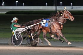 Daily Racing Form | Harness