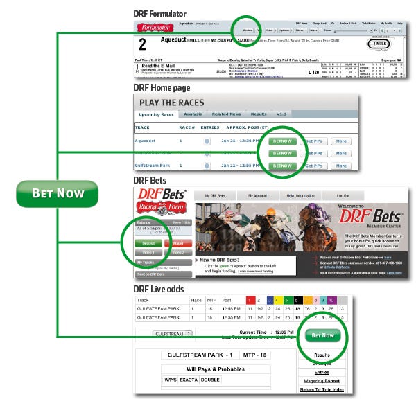 DRF Bets preview