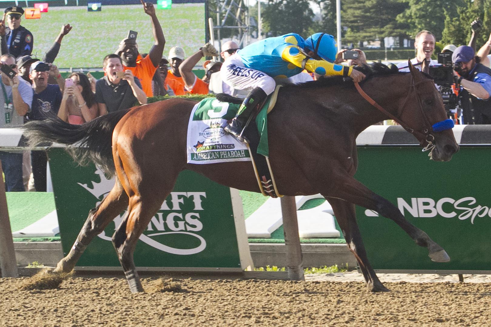 Belmont Stakes 2015 Seating Chart