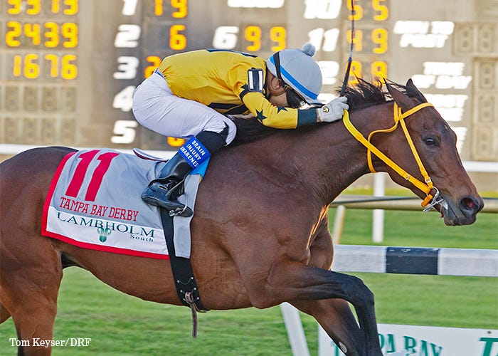 King Guillermo Daily Racing Form